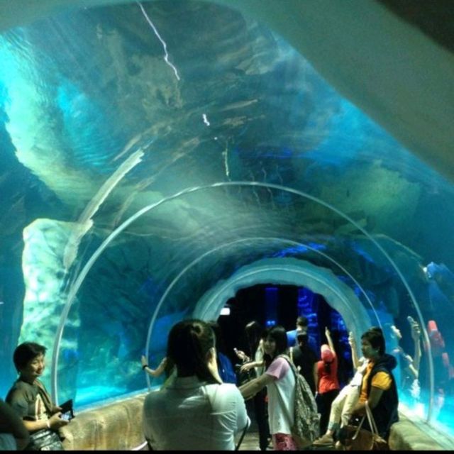 Ocean Park Theme Park