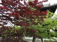 【京都】新撰組発祥のお寺！金戒光明寺をご紹介