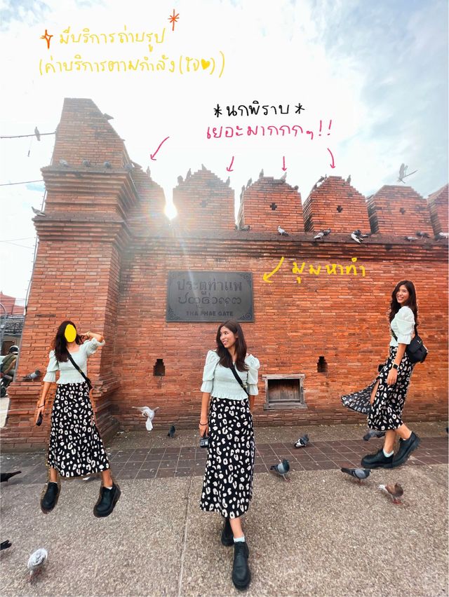 จุดเช็คอินเชียงใหม่ เดินสับๆที่ “ประตูท่าแพ” 🏰🕊✨