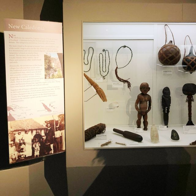 PACIFIC FINDS AT THE MUSEUM