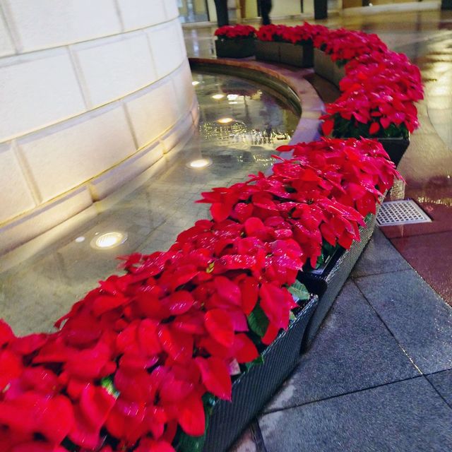 Merry X'Mas at 1881 Heritage !