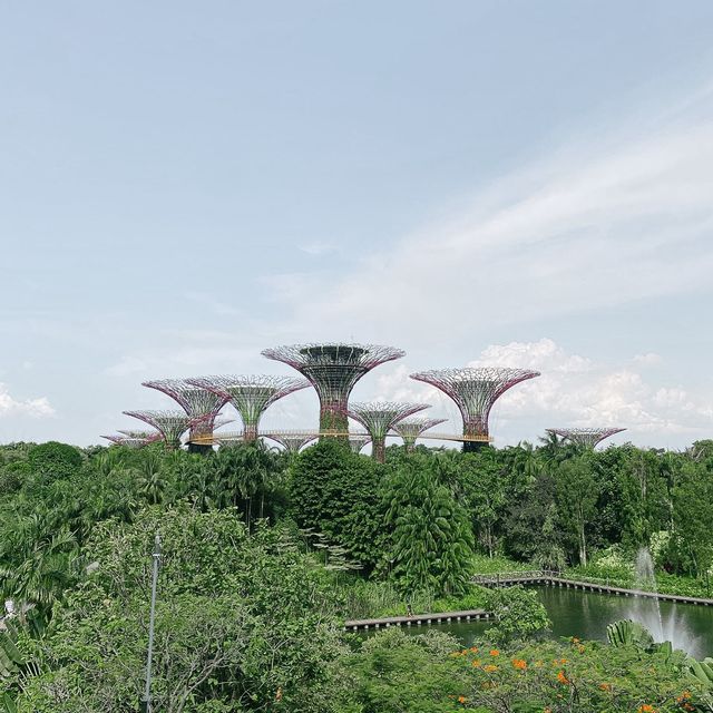 Gardens By The Bay - ป่าใหญ่ใจกลางเมือง