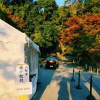 興聖寺　