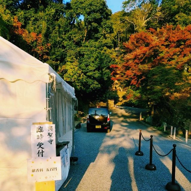 興聖寺　