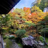 秋は紅葉の【永観堂】✨