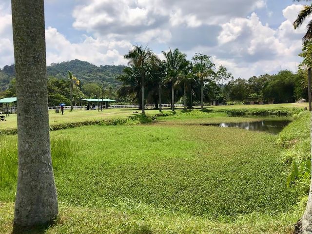 Jelita Ostrich Farm 🦆✨