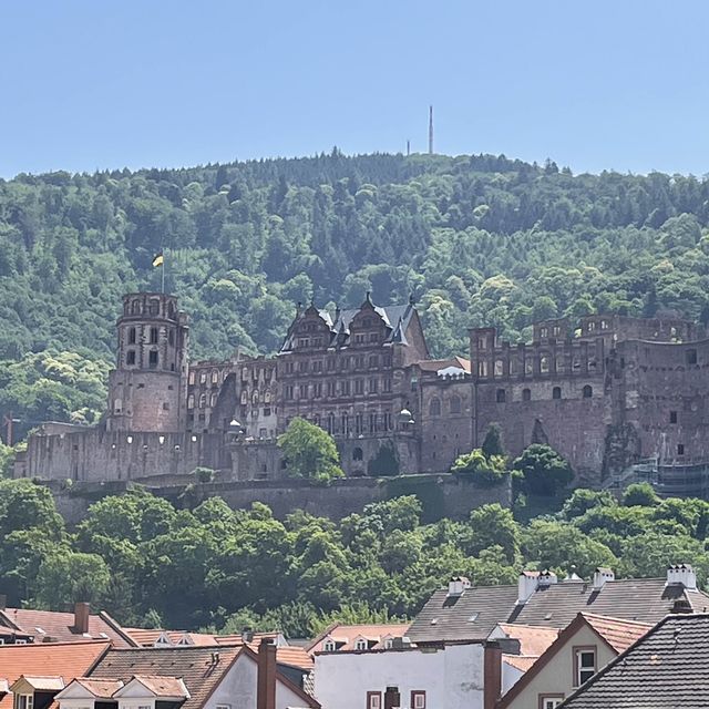 hi hi Heidelberg 