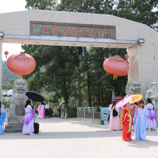 BBQ、馬、孔雀...大棠有機生態園！