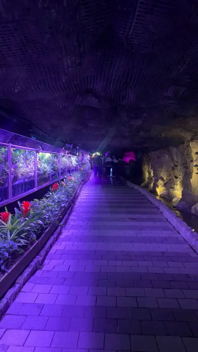 Colorfull cave in Korea