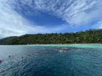 อุทยานแห่งชาติหมู่เกาะสุรินทร์ ปะการังยืนหนึ่ง 