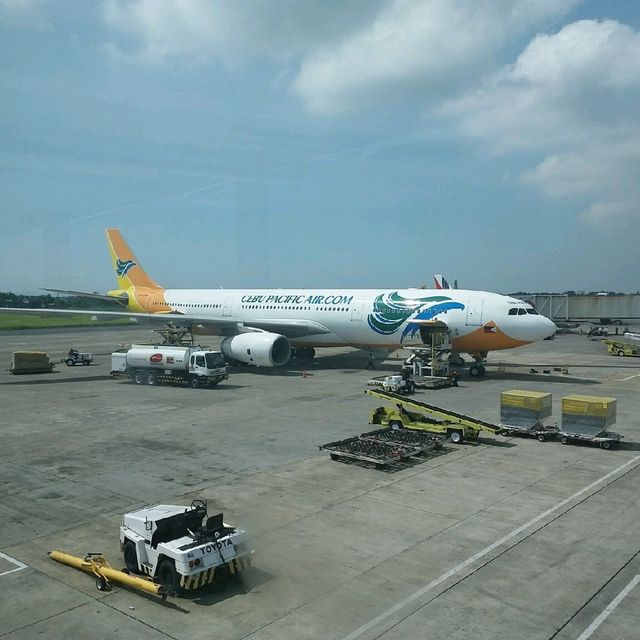 Say Hi to Cebu Pacific!