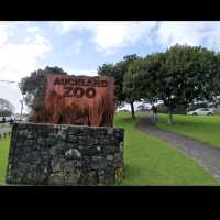 Auckland Zoo