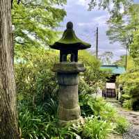 白雲洞茶苑