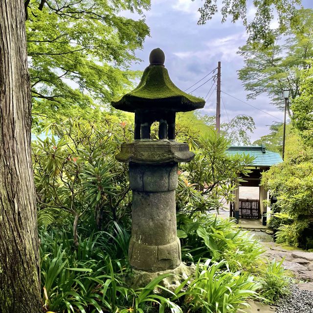 白雲洞茶苑