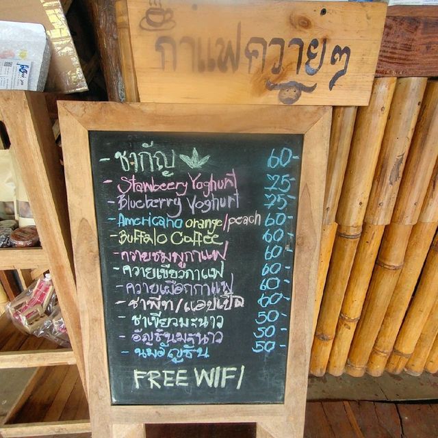 บ้านนอก ฮอกควาย สบายๆ เมืองคอง
