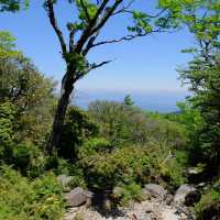 天城山