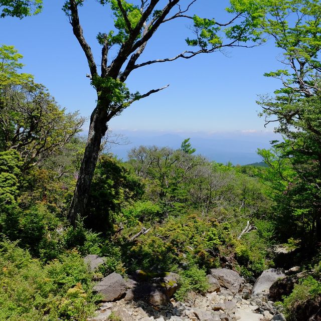 天城山