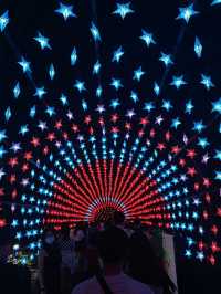 Christmas Wonderland @ Gardens By The Bay