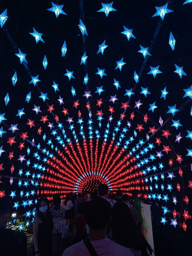 Christmas Wonderland @ Gardens By The Bay