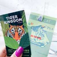 🐯Tiger Kingdom Phuket,Thailand 🇹🇭