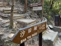 景色盡收眼底｜獅子山頂