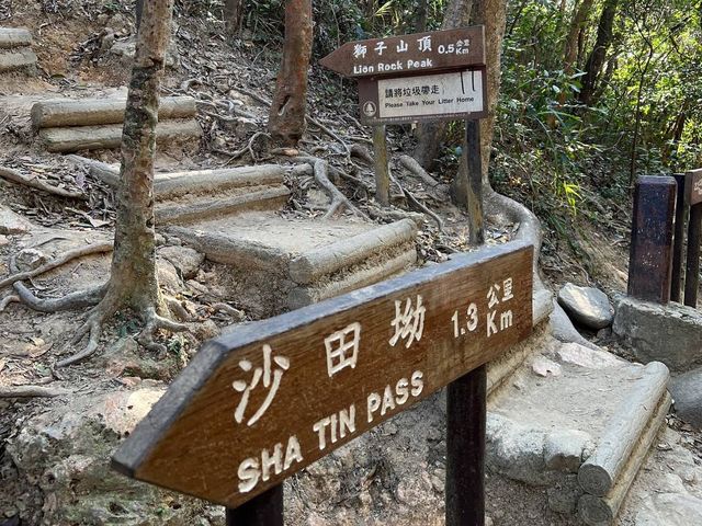 景色盡收眼底｜獅子山頂