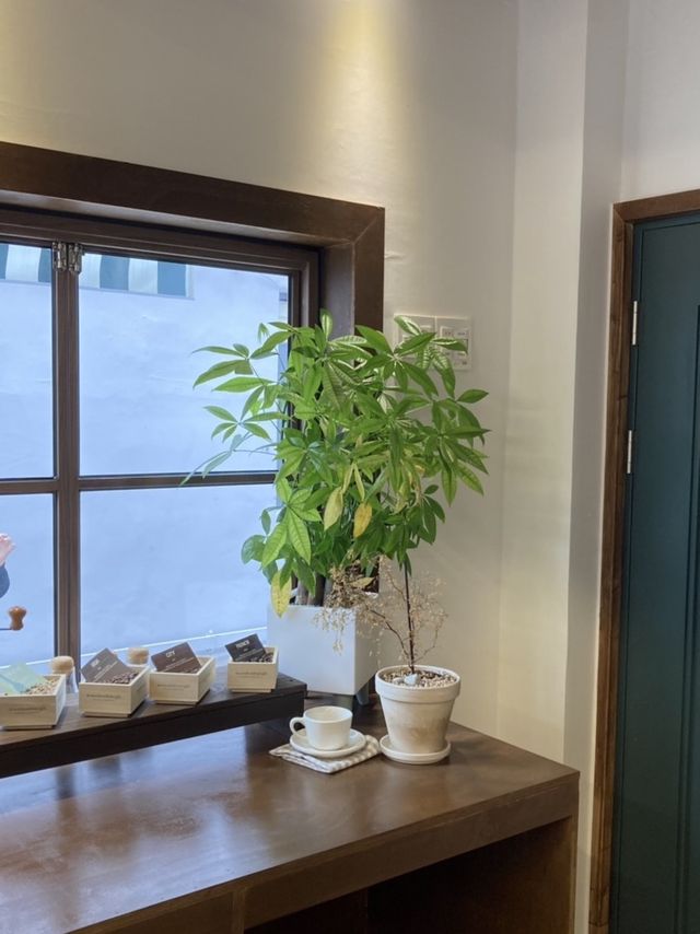 혼자 오기 좋은 유럽감성 카페 ☕️ 