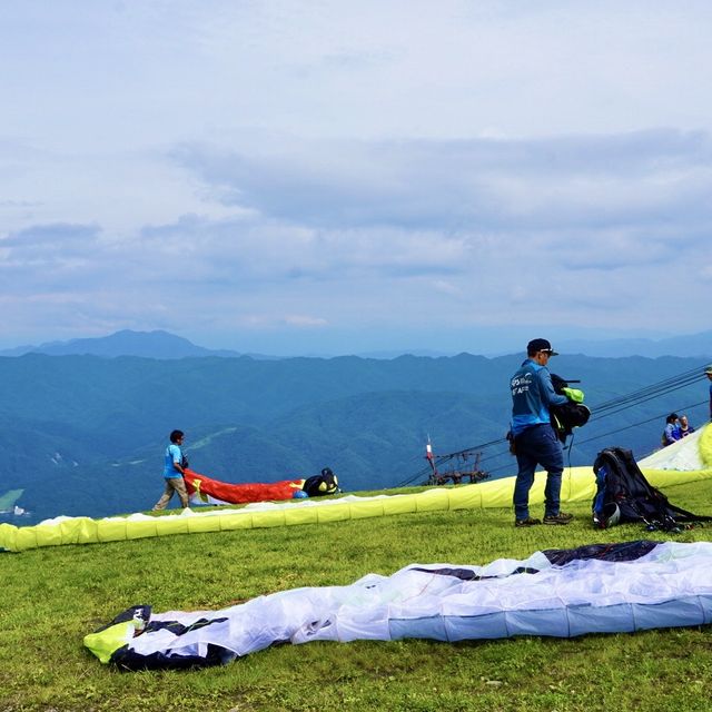 【長野】白馬八方尾根でパラグライダー！
