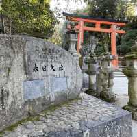 奈良 春日大社
