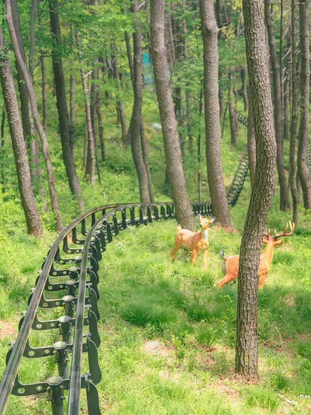거제 봄 여행은 무조건 여기!