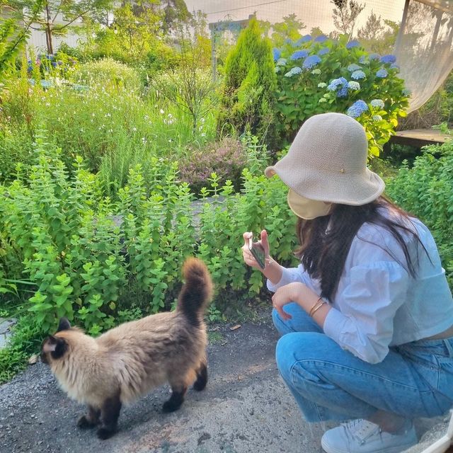제주 애월읍, 빈티지한 독채 감성숙소🏠