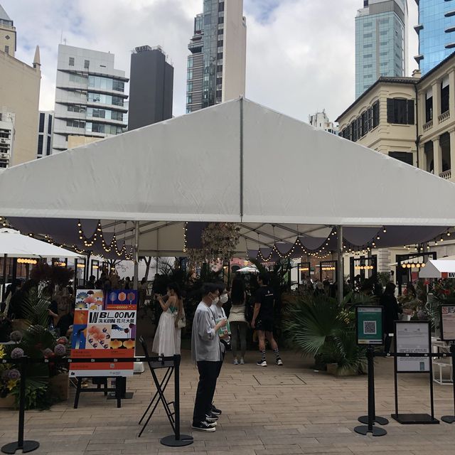 「花見大館」展覽
