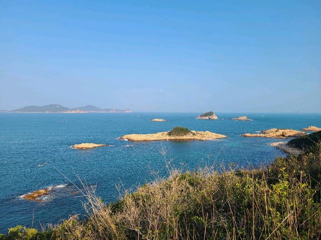 非一般綠蛋島🏝️