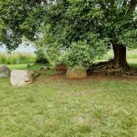 Plain of Jars