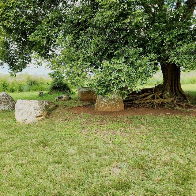 Plain of Jars