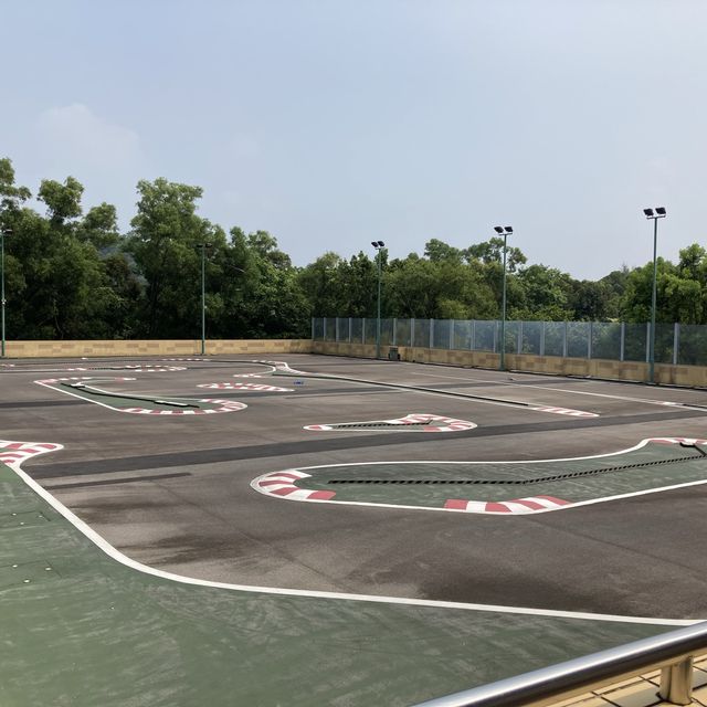 《親子活動～佐敦谷睇恐龍🦖》