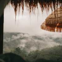 Cozy Wild เชียงใหม่