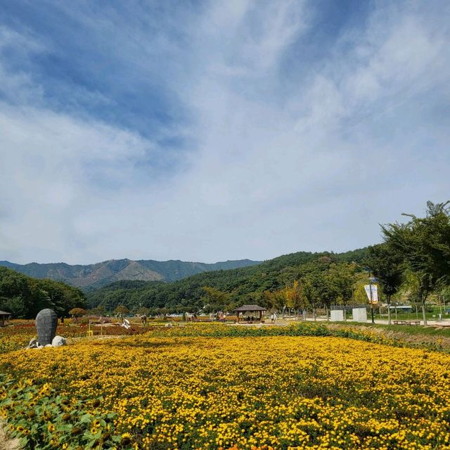 들꽃이 예쁜 경남 상림공원