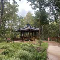 Beautiful view of Samhakdo Island 