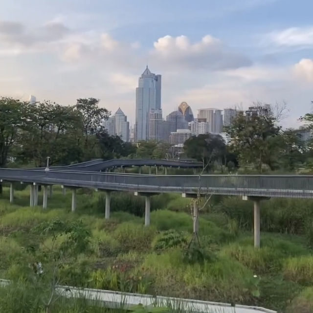 สวนป่าเบญจกิติ