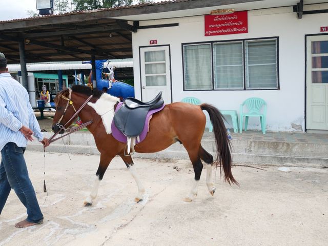 หาดปึกเตียน เงียบสงบ ใกล้กรุงเทพ  
