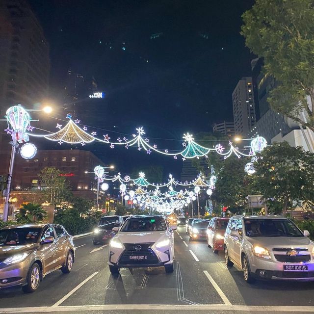 The Great  Christmas Light-Up