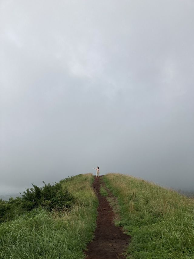 제주도 서쪽 여행,애월 새별오름