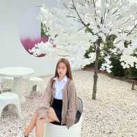 คาเฟ่มหาสาคาม