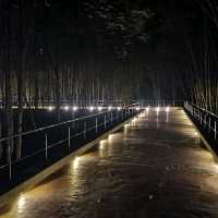 เส้นทางชมป่าโกงกางที่สวนสะพานหิน 