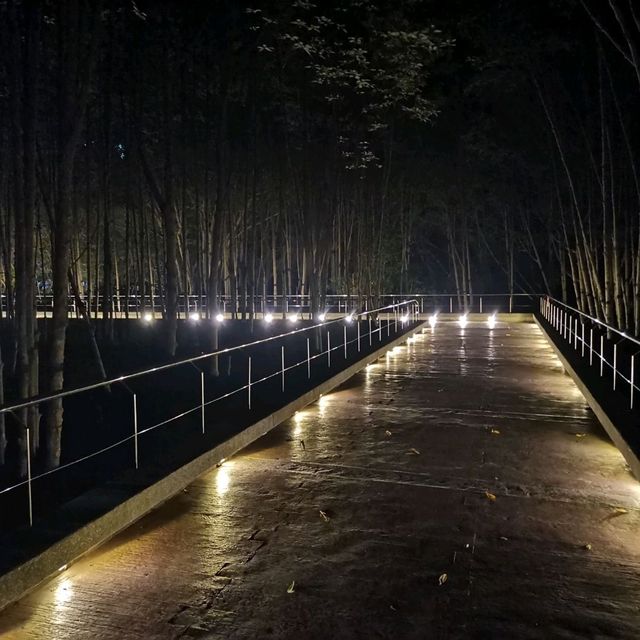 เส้นทางชมป่าโกงกางที่สวนสะพานหิน 