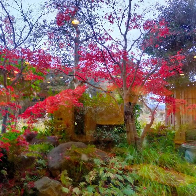 原鶴温泉行きました。（お風呂）
