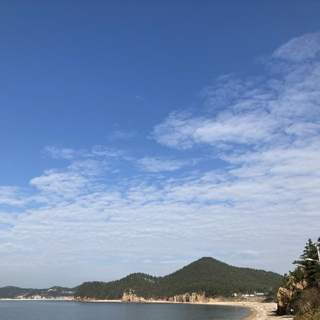 태안 파도리해수욕장 한적한 여행지로 추천!💙