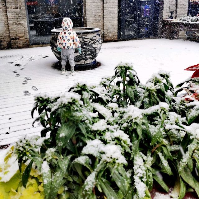 Snow in Nanjing ❄️