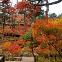 Colours of autumn at Hwadam-sup